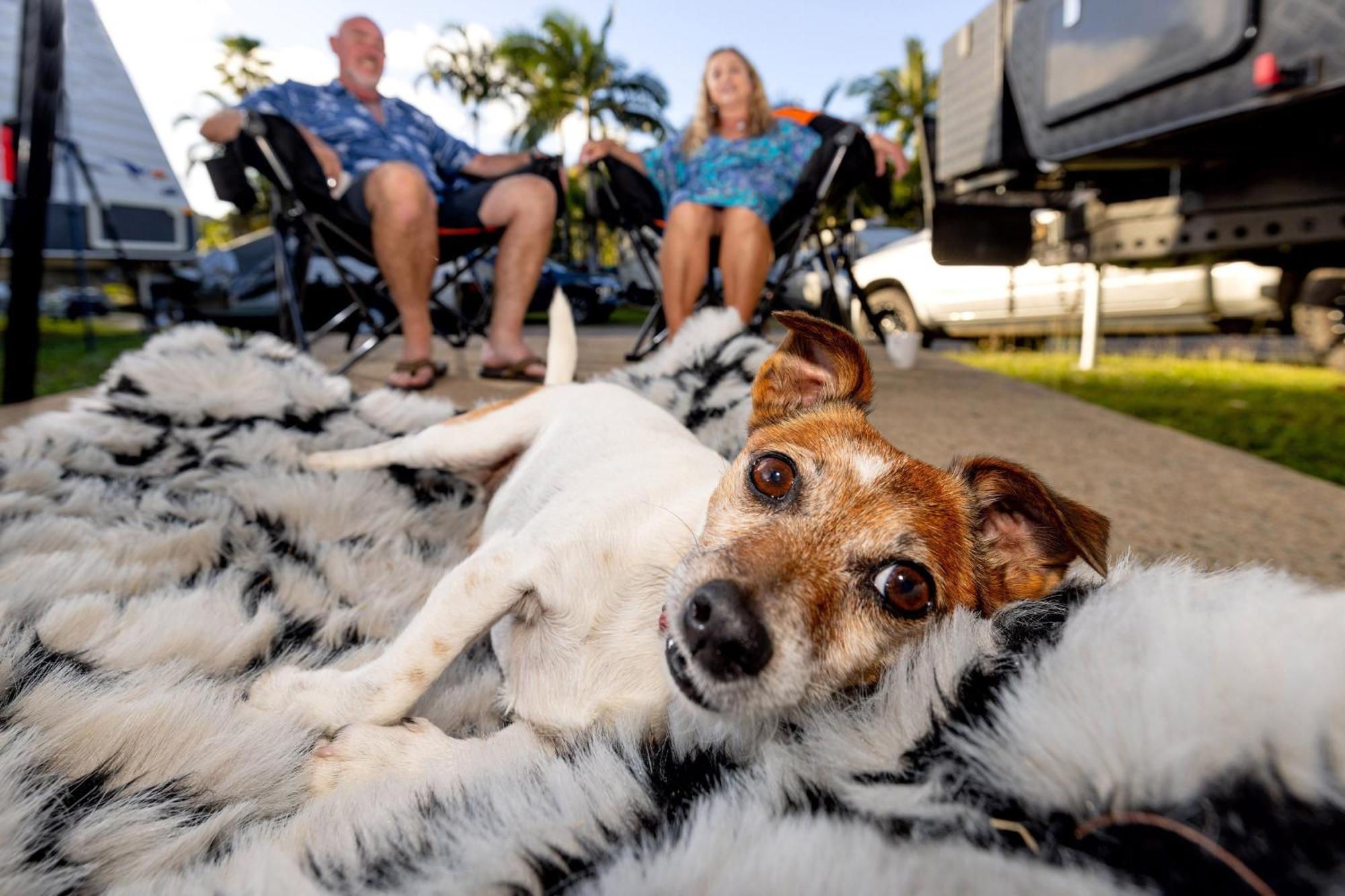 Big4 Whitsundays Tropical Eco Resort Airlie Beach Eksteriør bilde