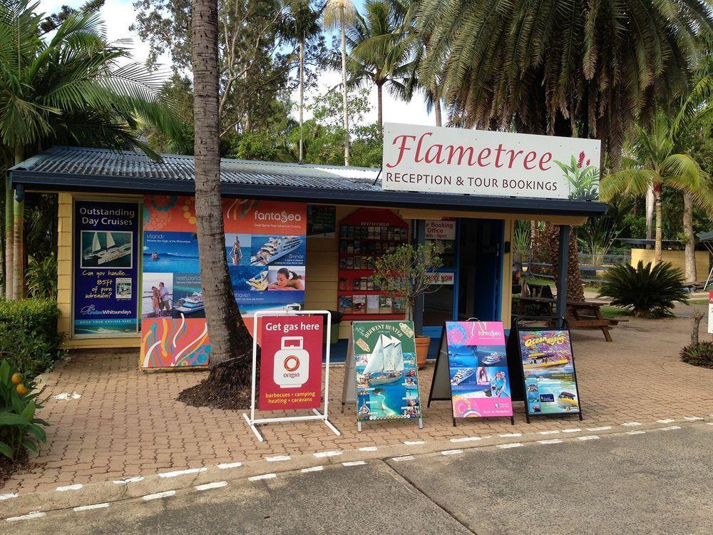 Big4 Whitsundays Tropical Eco Resort Airlie Beach Eksteriør bilde